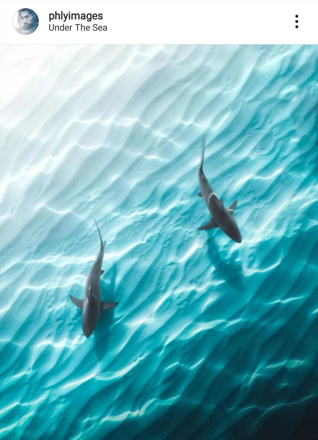 Incredible Color! These 4 Instagram Photographers Master the Use of Teal! · Fig. 11