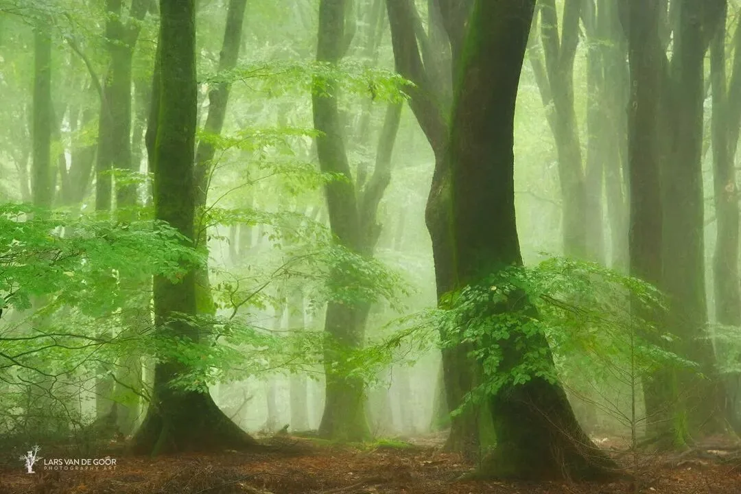The Best Style Is Perfection: 4 Niche Landscape Photographers Worth Following · Fig. 26