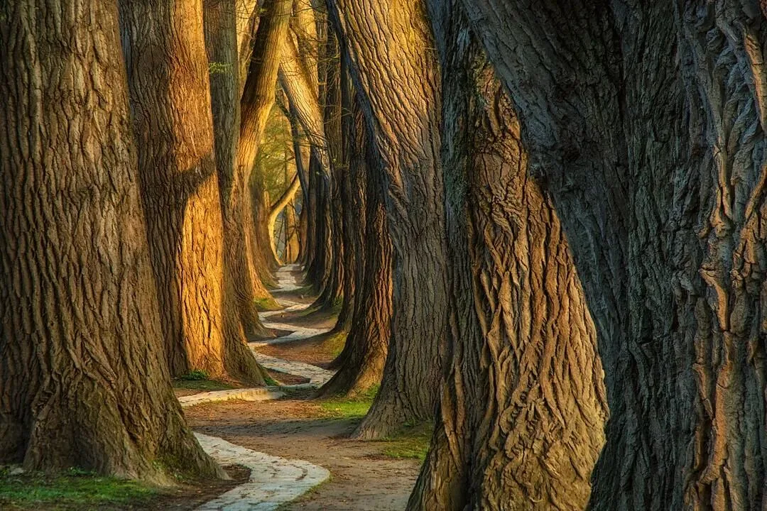 The Best Style Is Perfection: 4 Niche Landscape Photographers Worth Following · Fig. 27