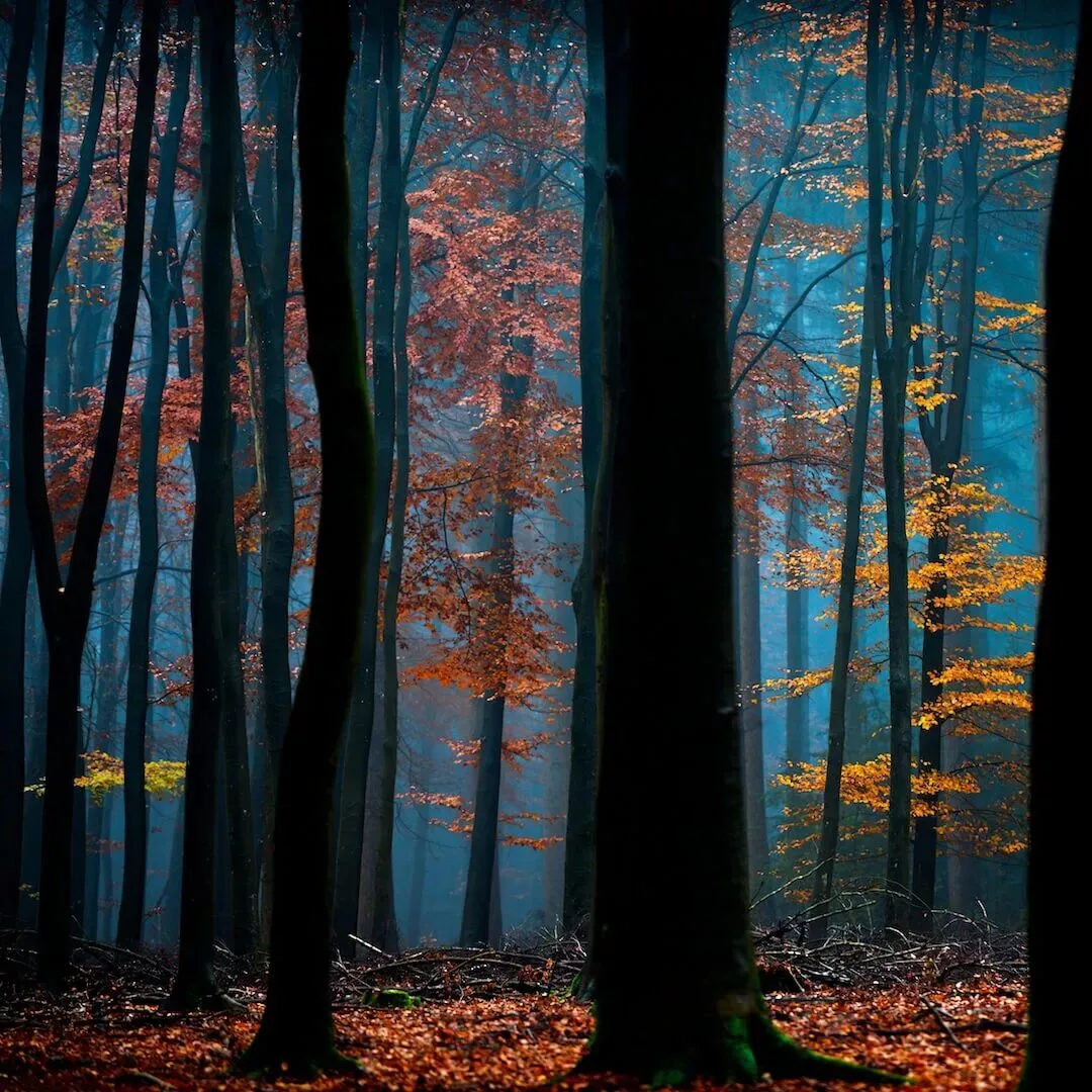 The Best Style Is Perfection: 4 Niche Landscape Photographers Worth Following · Fig. 28