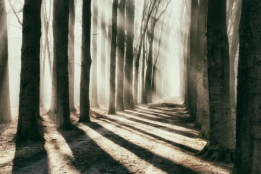 The Best Style Is Perfection: 4 Niche Landscape Photographers Worth Following · Fig. 29
