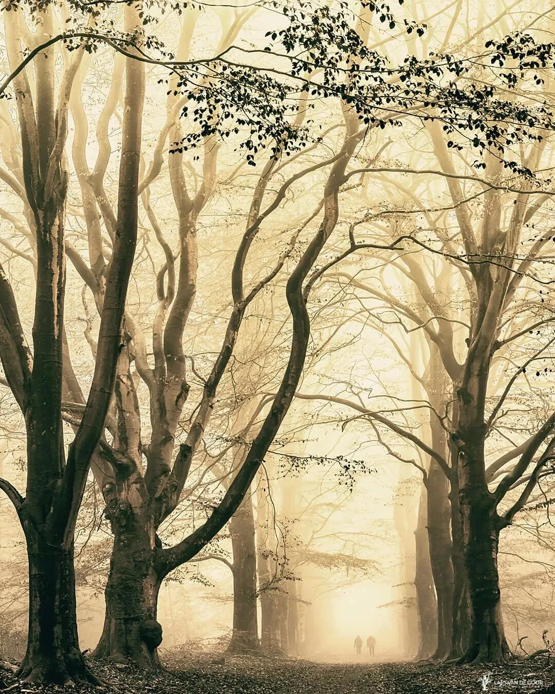 The Best Style Is Perfection: 4 Niche Landscape Photographers Worth Following · Fig. 30