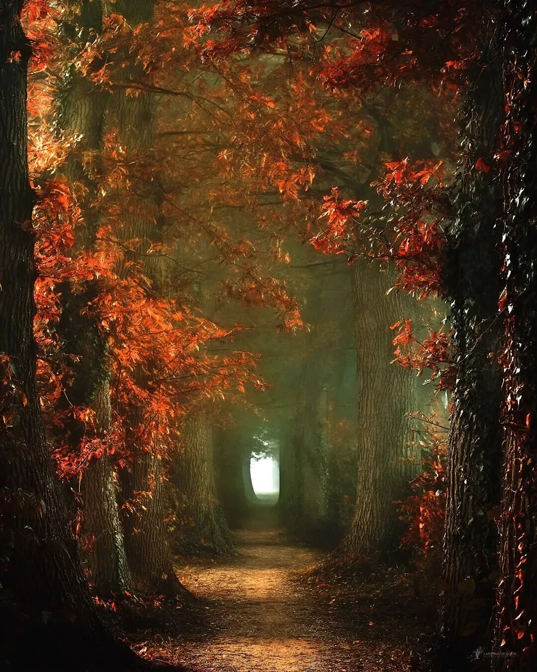 The Best Style Is Perfection: 4 Niche Landscape Photographers Worth Following · Fig. 31