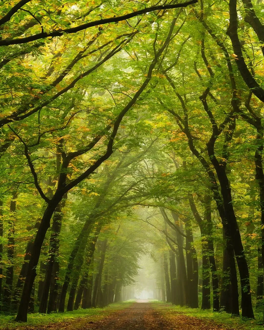 The Best Style Is Perfection: 4 Niche Landscape Photographers Worth Following · Fig. 32