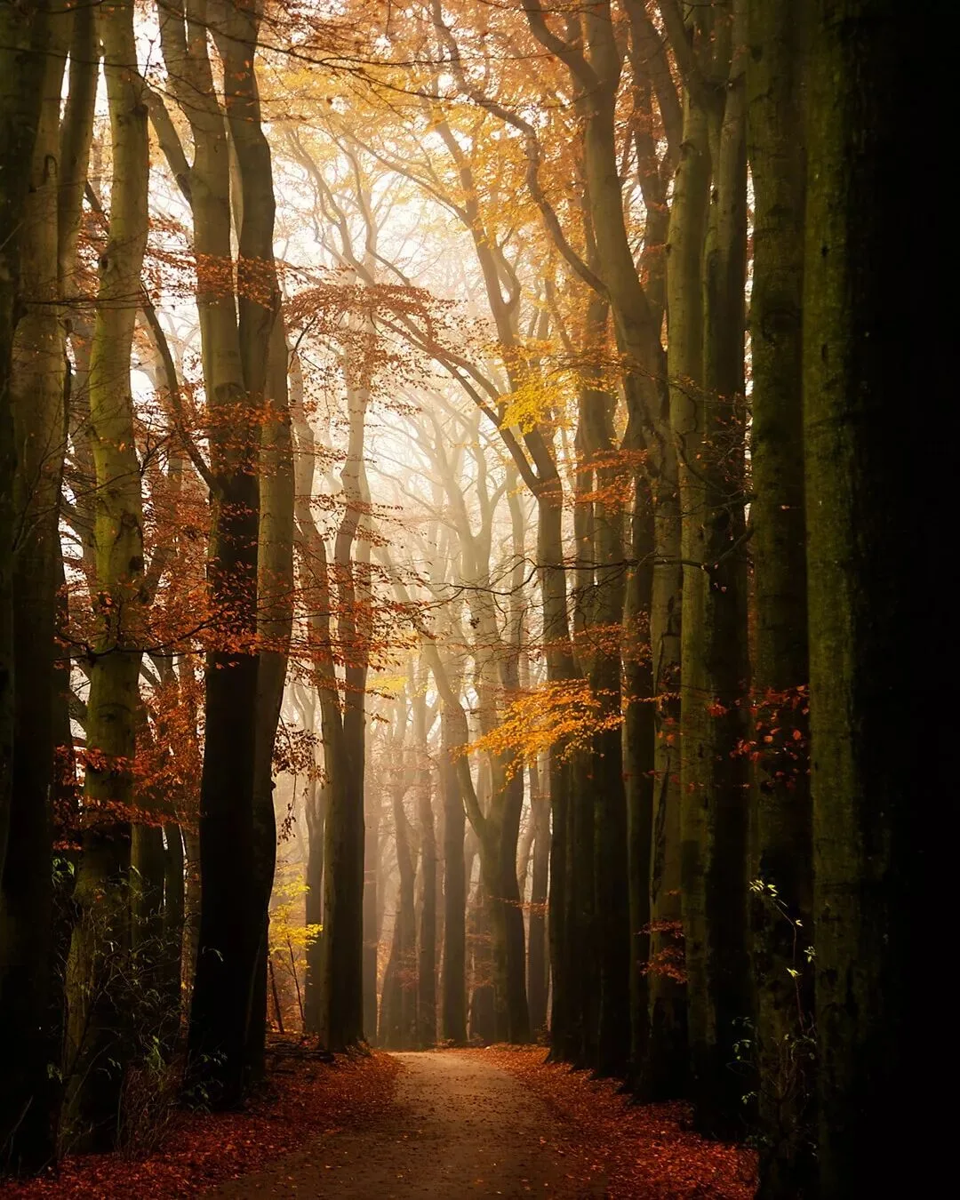 The Best Style Is Perfection: 4 Niche Landscape Photographers Worth Following · Fig. 33