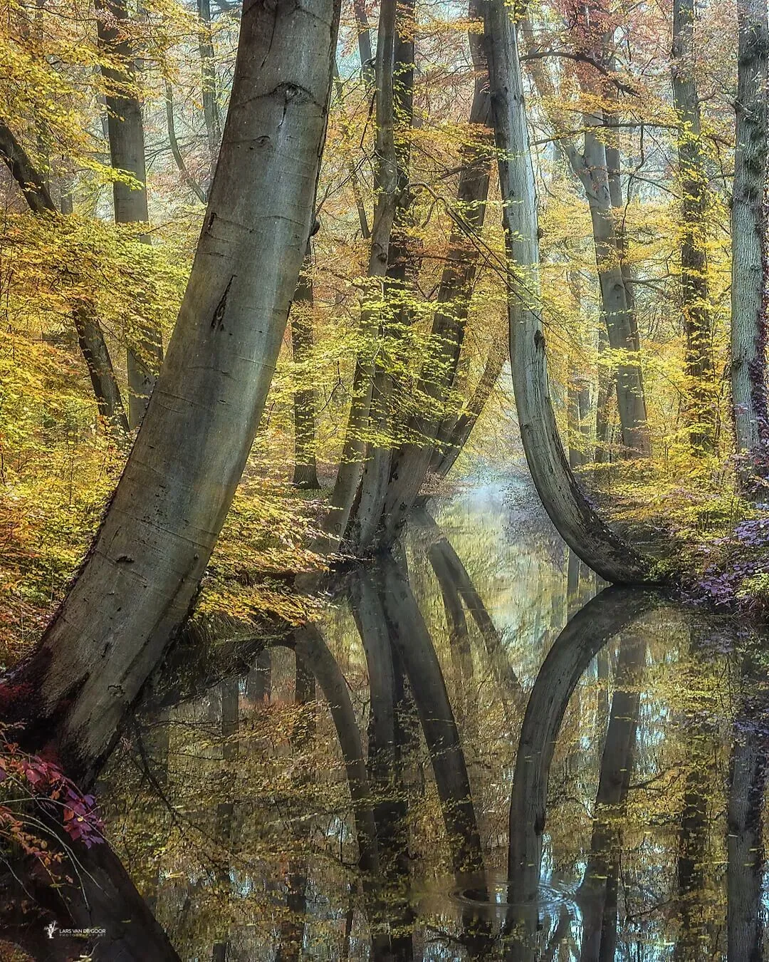The Best Style Is Perfection: 4 Niche Landscape Photographers Worth Following · Fig. 34