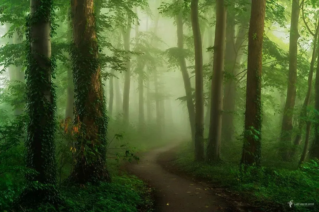 The Best Style Is Perfection: 4 Niche Landscape Photographers Worth Following · Fig. 35