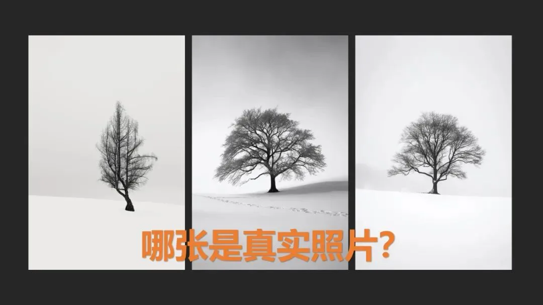 In the Age of AI Art and Video, Where Is the Future of Still Photography? · Fig. 12