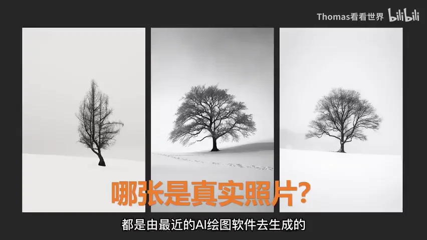 In the Age of AI Art and Video, Where Is the Future of Still Photography? · Fig. 1