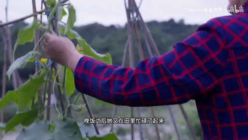火车上“扫街”！我拍下了绿皮火车上的慢生活 · 图13