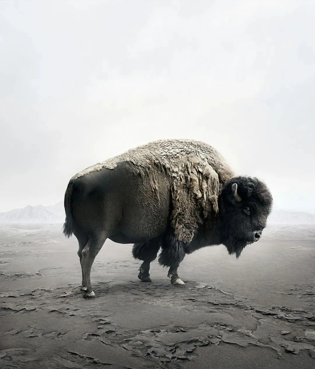 Hasselblad Masters Results Are Out, and Two Chinese Photographers Won! Here's the Learning Analysis! · Fig. 13