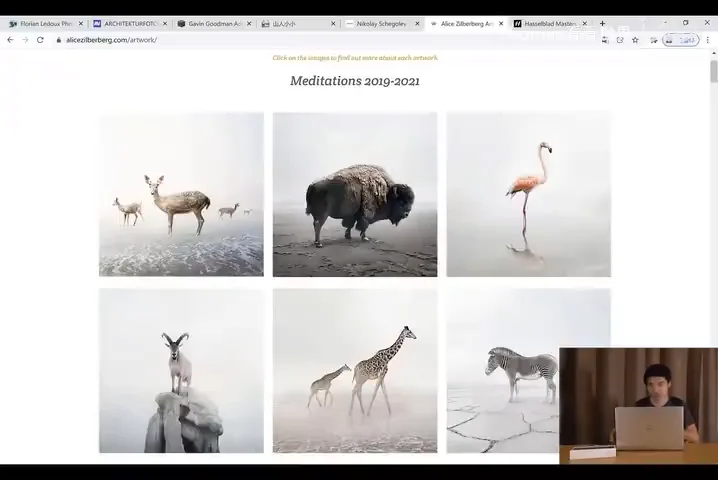 Hasselblad Masters Results Are Out, and Two Chinese Photographers Won! Here's the Learning Analysis! · Fig. 9