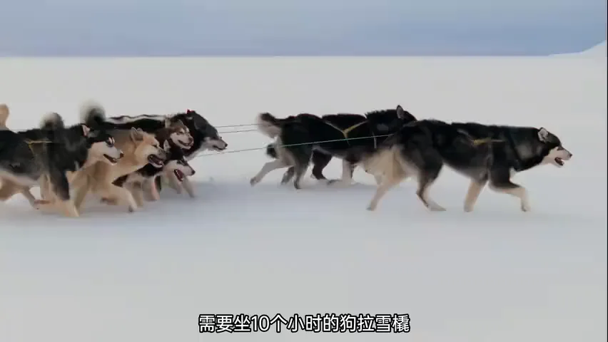 在格陵兰拍到了绝美极光与蓝调 | 哈苏 XCD 25V镜头实测 · 图5