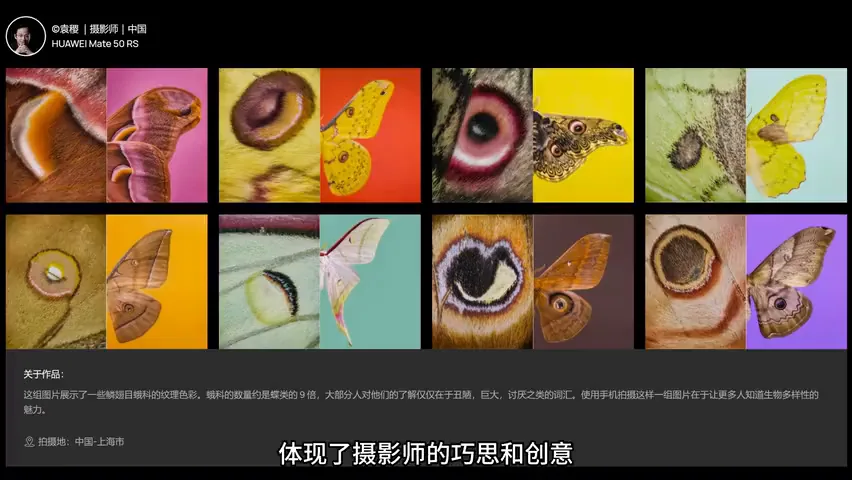 手机如何拍出好照片？2023华为影像大赛作品赏析！ · 图8