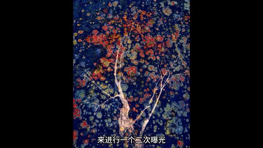 手机如何拍出好照片？2023华为影像大赛作品赏析！ · 图10