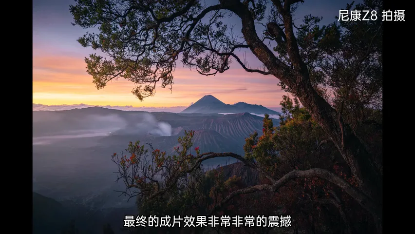 印尼旅行，我拍到了生命向上的力量 | 拍树专题 · 图2