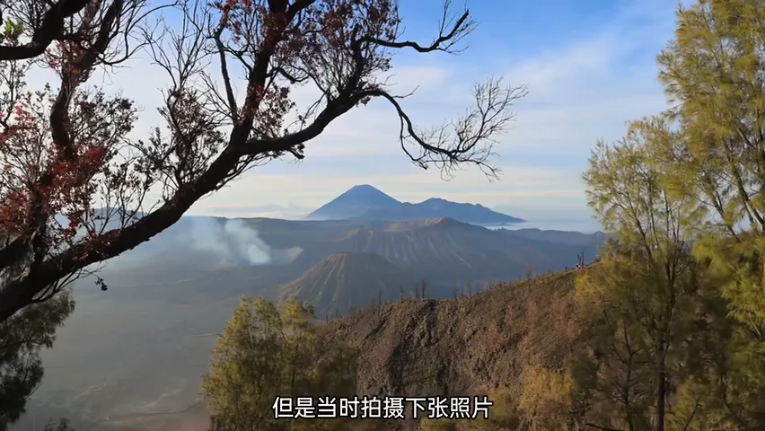 印尼旅行，我拍到了生命向上的力量 | 拍树专题 · 图3
