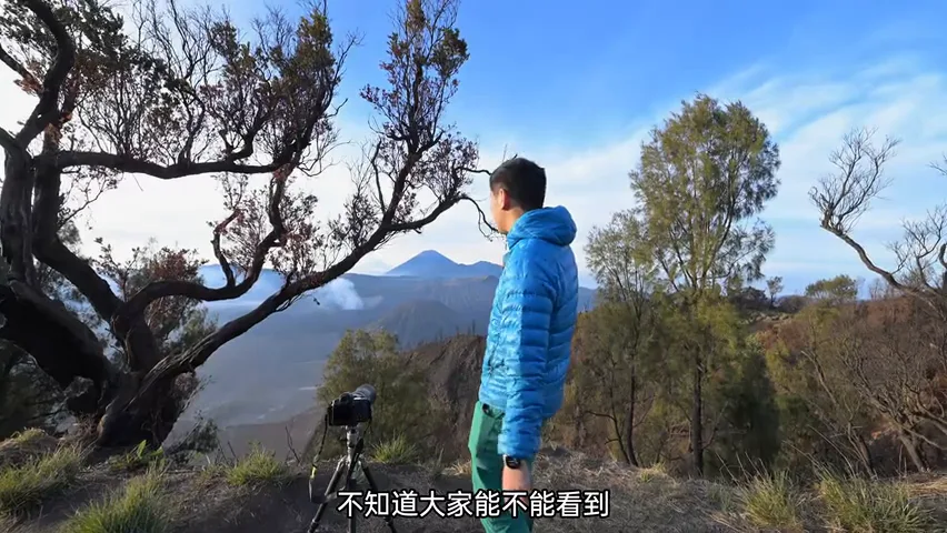 印尼旅行，我拍到了生命向上的力量 | 拍树专题 · 图4