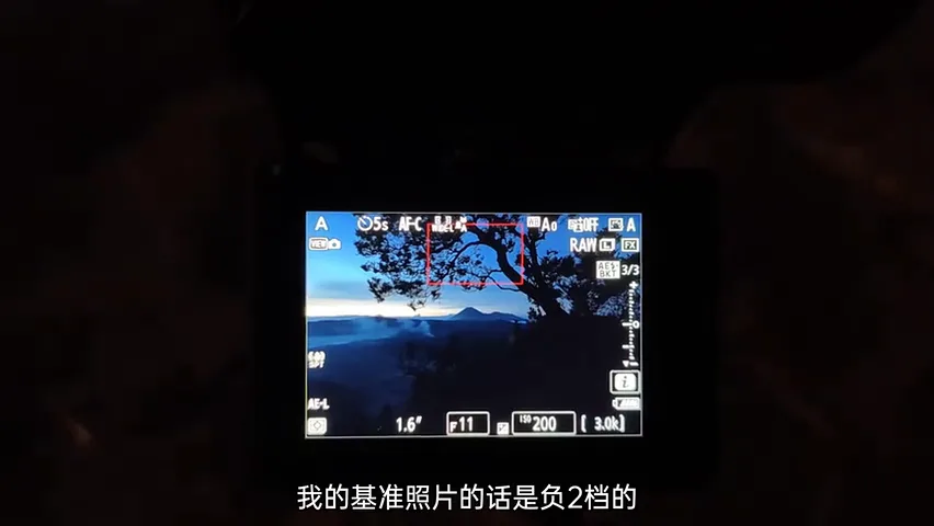 印尼旅行，我拍到了生命向上的力量 | 拍树专题 · 图6