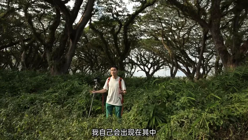 印尼旅行，我拍到了生命向上的力量 | 拍树专题 · 图9