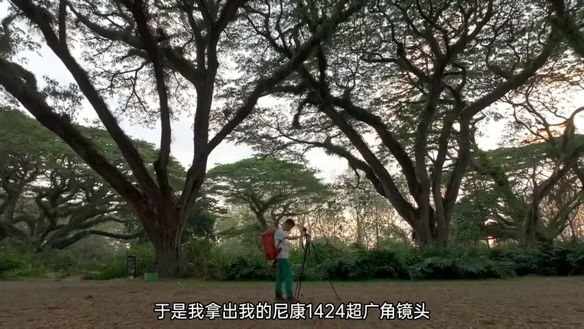 印尼旅行，我拍到了生命向上的力量 | 拍树专题 · 图11