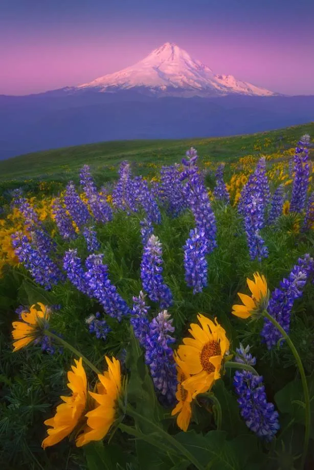 Finding Intimate Beauty in Ordinary, Cluttered Scenery · Fig. 3