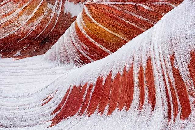 Finding Intimate Beauty in Ordinary, Cluttered Scenery · Fig. 10