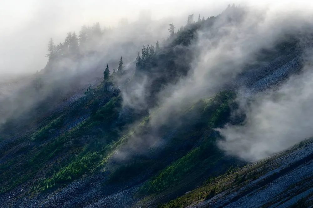 Finding Intimate Beauty in Ordinary, Cluttered Scenery · Fig. 21