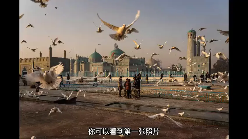 2024IPA国际摄影奖公布！国外摄影师都在怎么拍组图系列？ · 图2