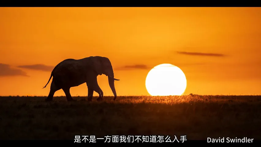 2024IPA国际摄影奖公布！国外摄影师都在怎么拍组图系列？ · 图7
