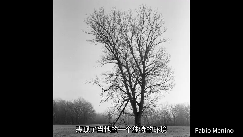 2024IPA国际摄影奖公布！国外摄影师都在怎么拍组图系列？ · 图8