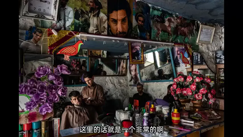 2024IPA国际摄影奖公布！国外摄影师都在怎么拍组图系列？ · 图14