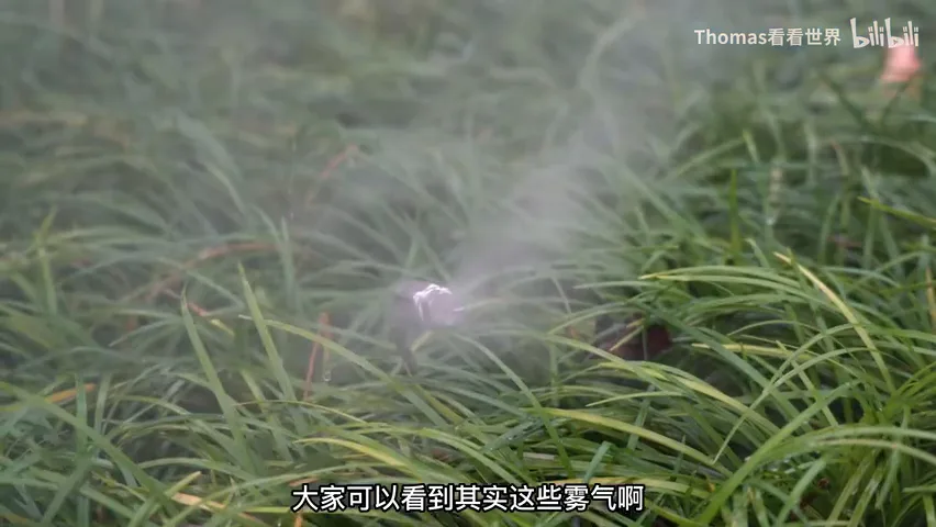 Such a Fairyland in Jiangxi! How a Photographer Made a Man-Made Spot Look Dreamlike · Fig. 9