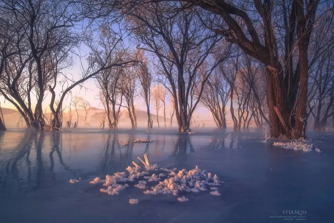 These Landscape Masterpieces Won Awards in the 2018 AdventureX Outdoor Landscape Photography Contest! · Fig. 9