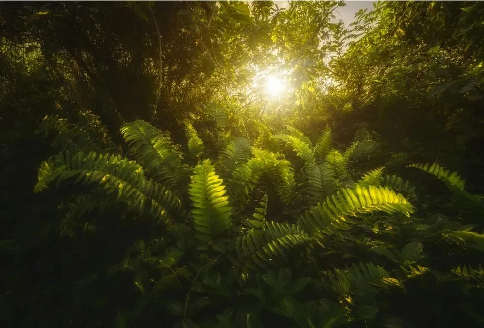 So Wonderful! The AdventureX Landscape Photography Contest Finalists Are Announced! · Fig. 14