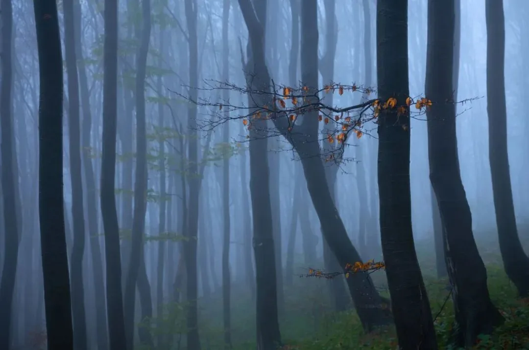 So Wonderful! The AdventureX Landscape Photography Contest Finalists Are Announced! · Fig. 38