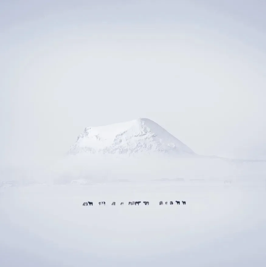 So Wonderful! The AdventureX Landscape Photography Contest Finalists Are Announced! · Fig. 41