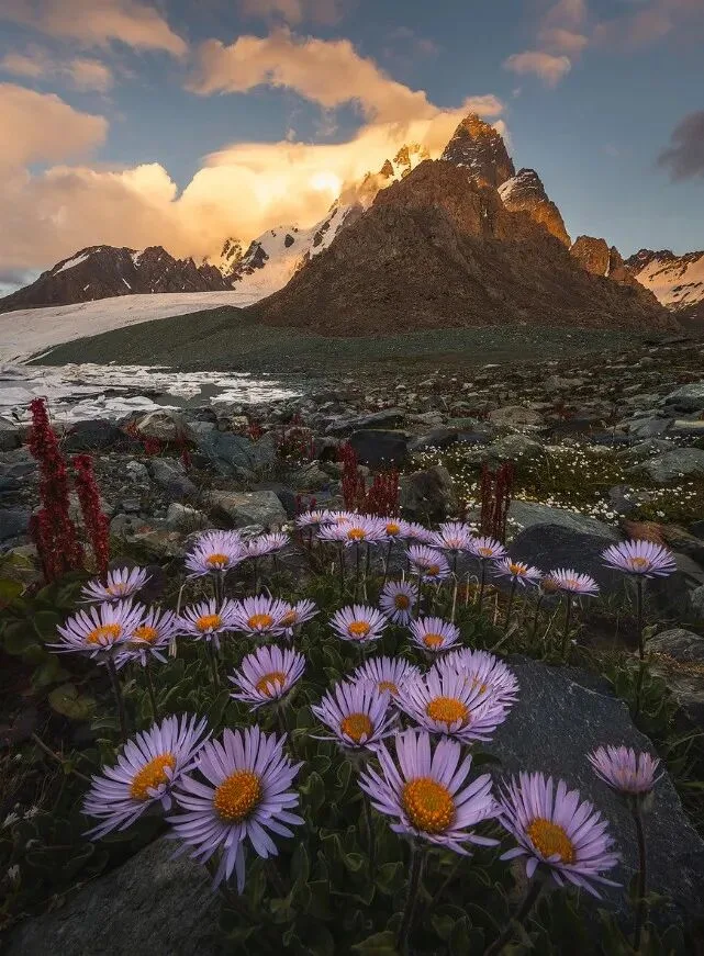 So Wonderful! The AdventureX Landscape Photography Contest Finalists Are Announced! · Fig. 44