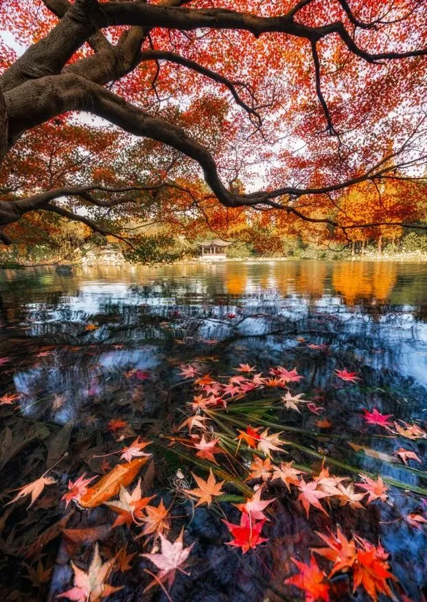 So Wonderful! The AdventureX Landscape Photography Contest Finalists Are Announced! · Fig. 47