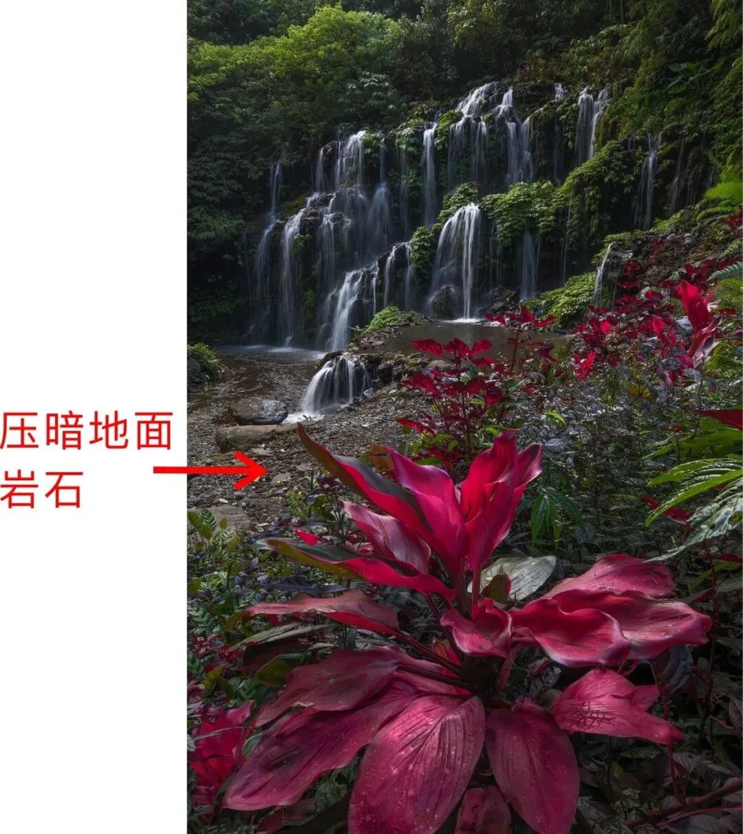Just 5 Steps! The Magical Jungle Waterfall Post-Processing Revealed · Fig. 12