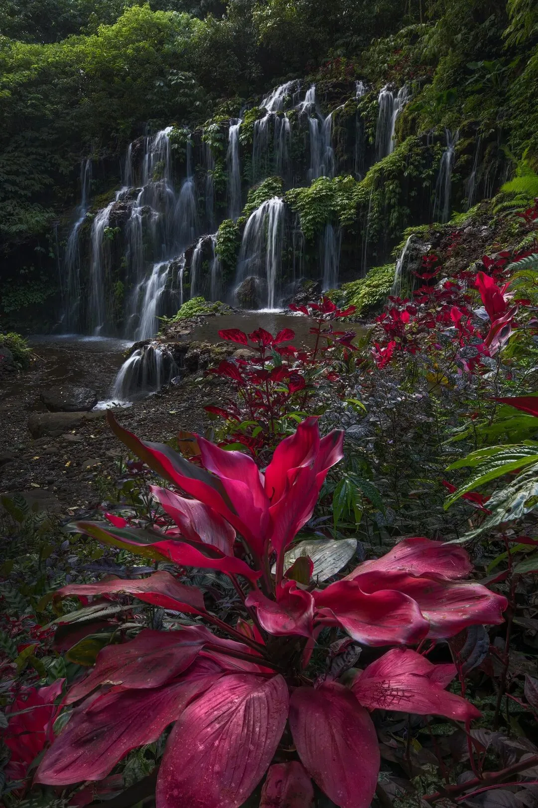 Just 5 Steps! The Magical Jungle Waterfall Post-Processing Revealed · Fig. 14