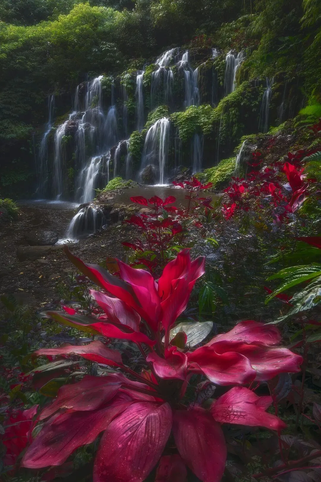 Just 5 Steps! The Magical Jungle Waterfall Post-Processing Revealed · Fig. 25