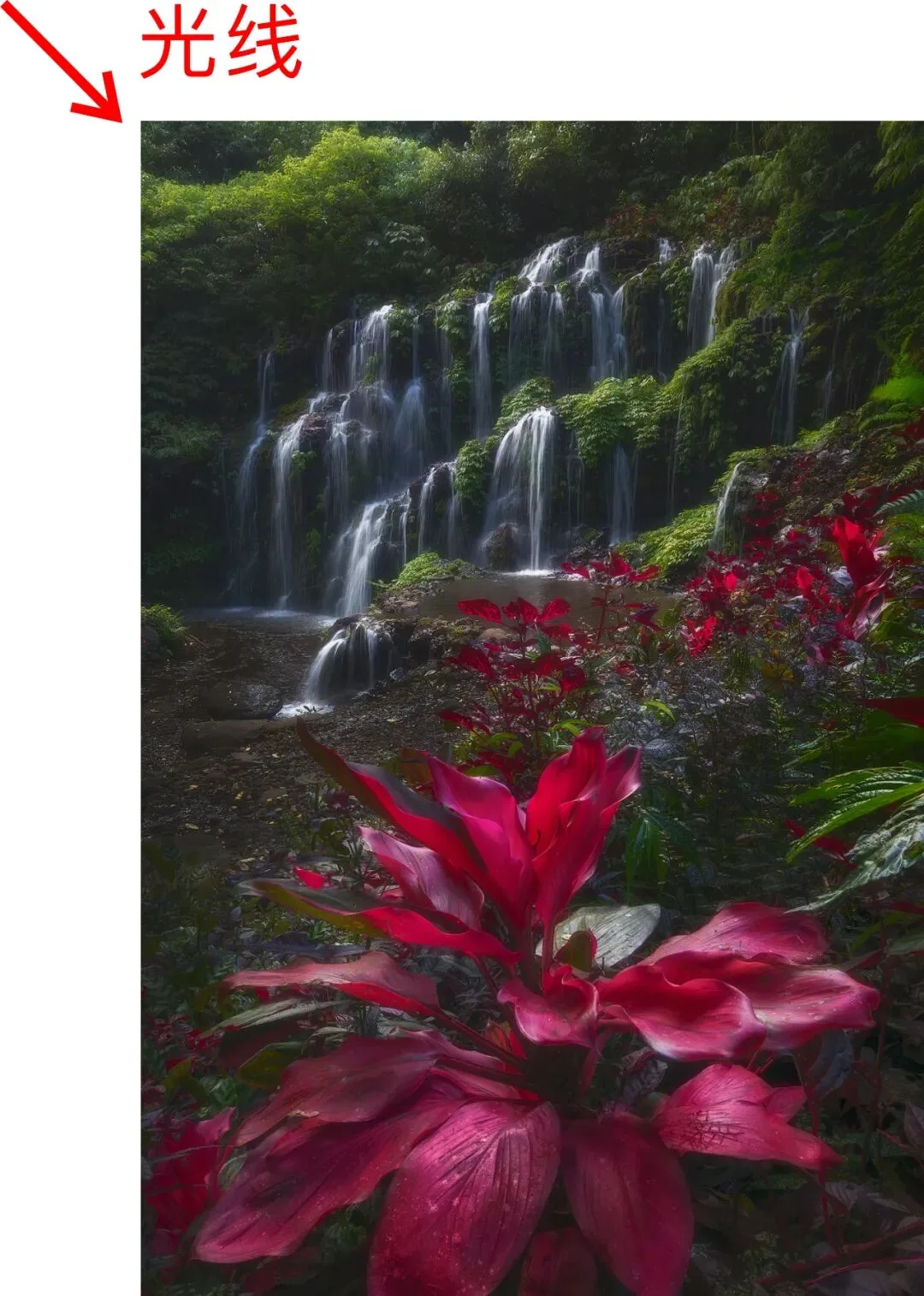 Just 5 Steps! The Magical Jungle Waterfall Post-Processing Revealed · Fig. 26