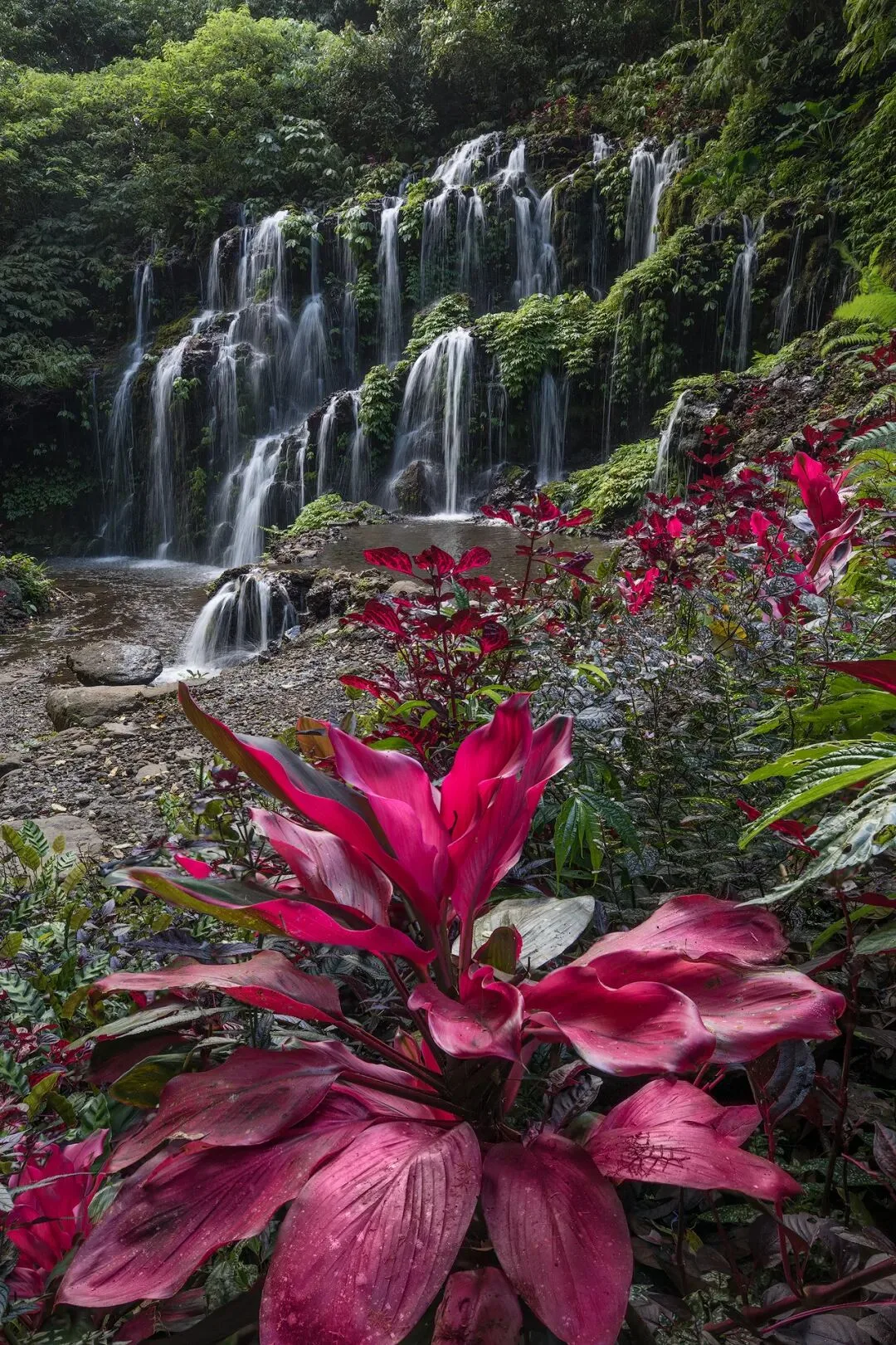 Just 5 Steps! The Magical Jungle Waterfall Post-Processing Revealed · Fig. 29