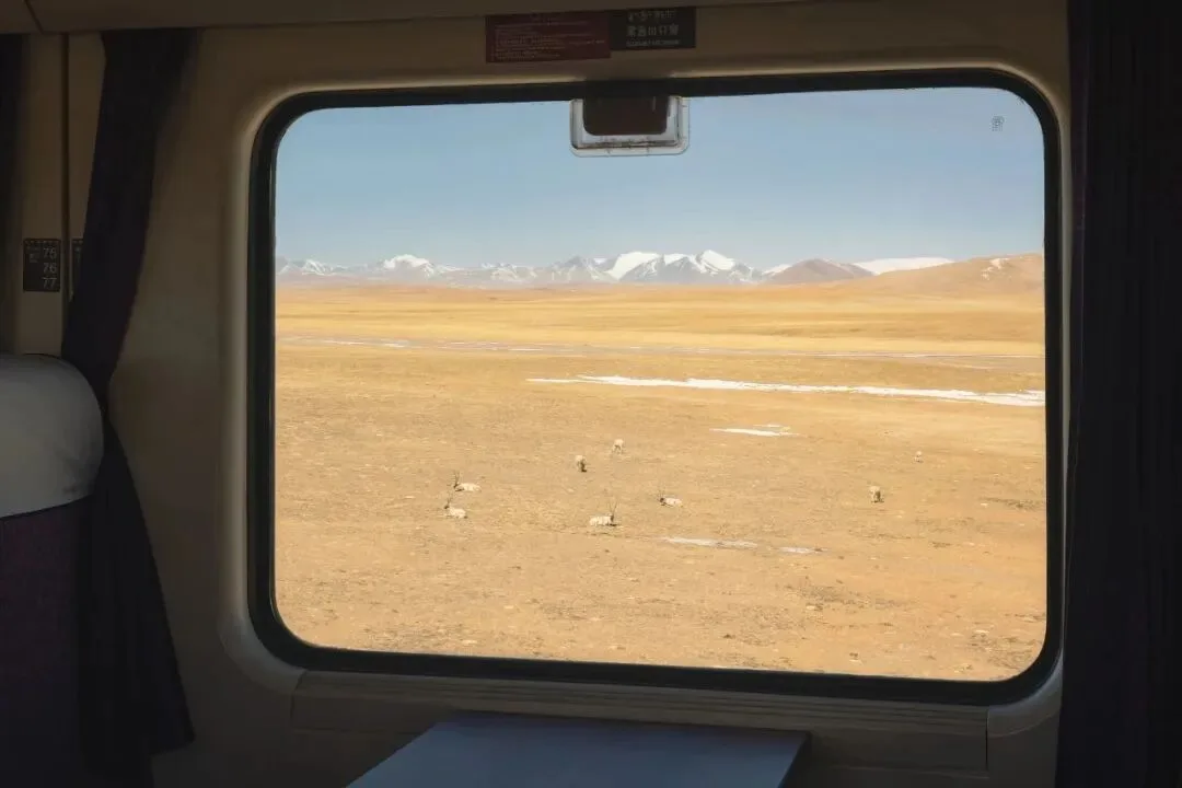 A Landscape Photographer's 2022 Portfolio · Fig. 22