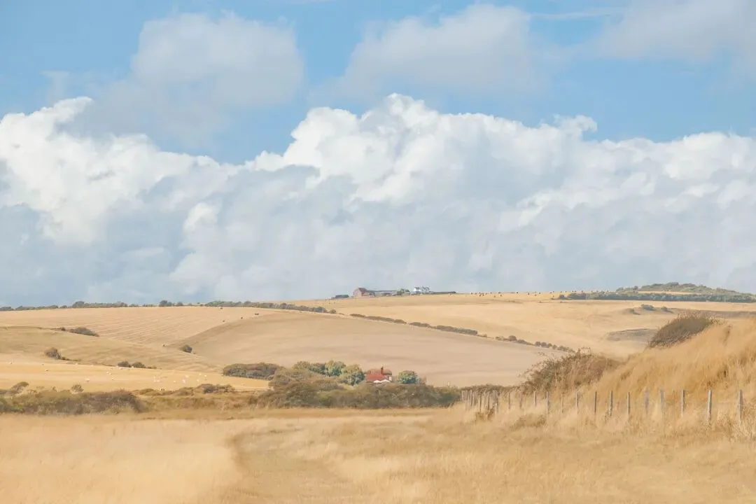 A Landscape Photographer's 2022 Portfolio · Fig. 58