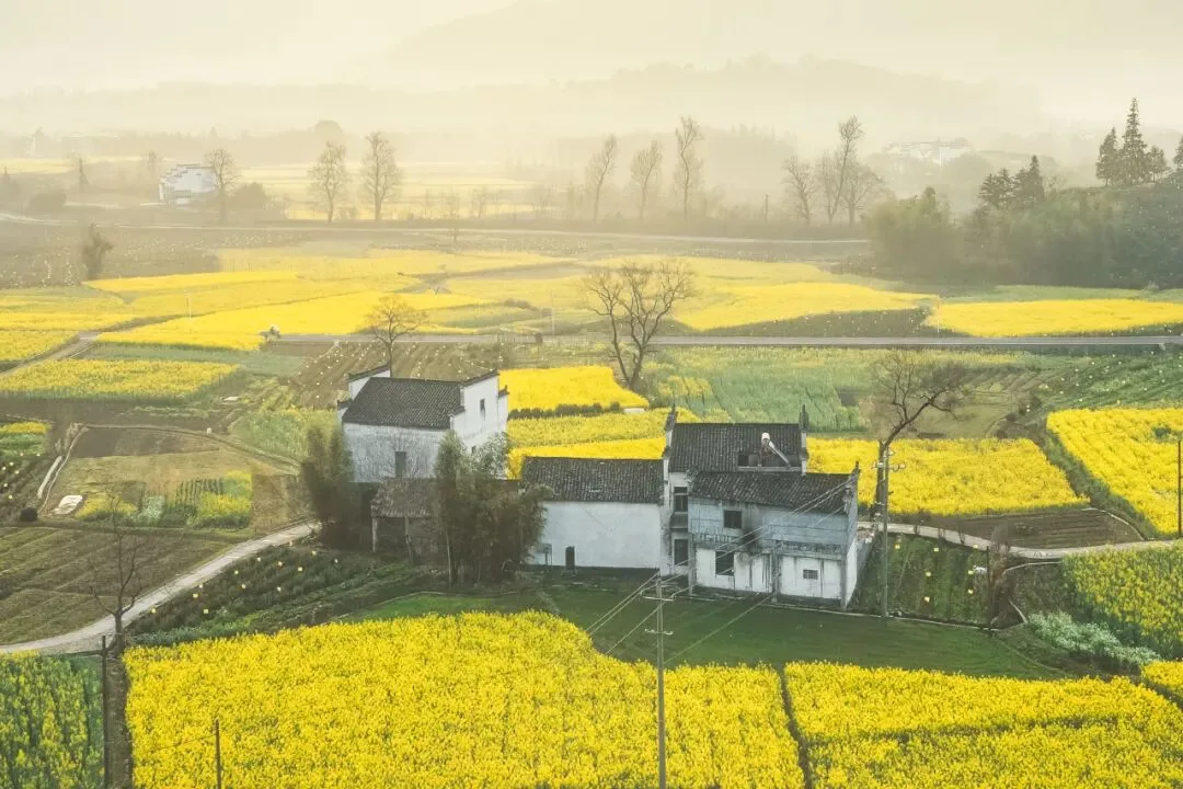A Landscape Photographer's 2022 Portfolio · Fig. 59