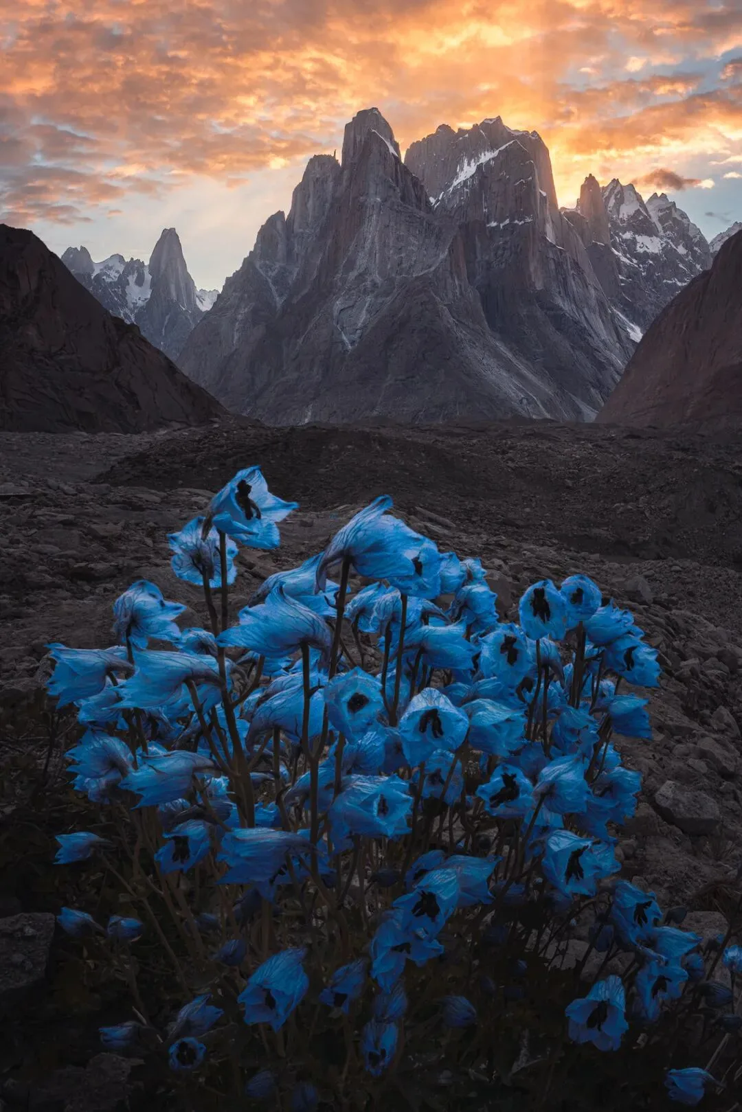 A Landscape Photographer's 2022 Portfolio · Fig. 73