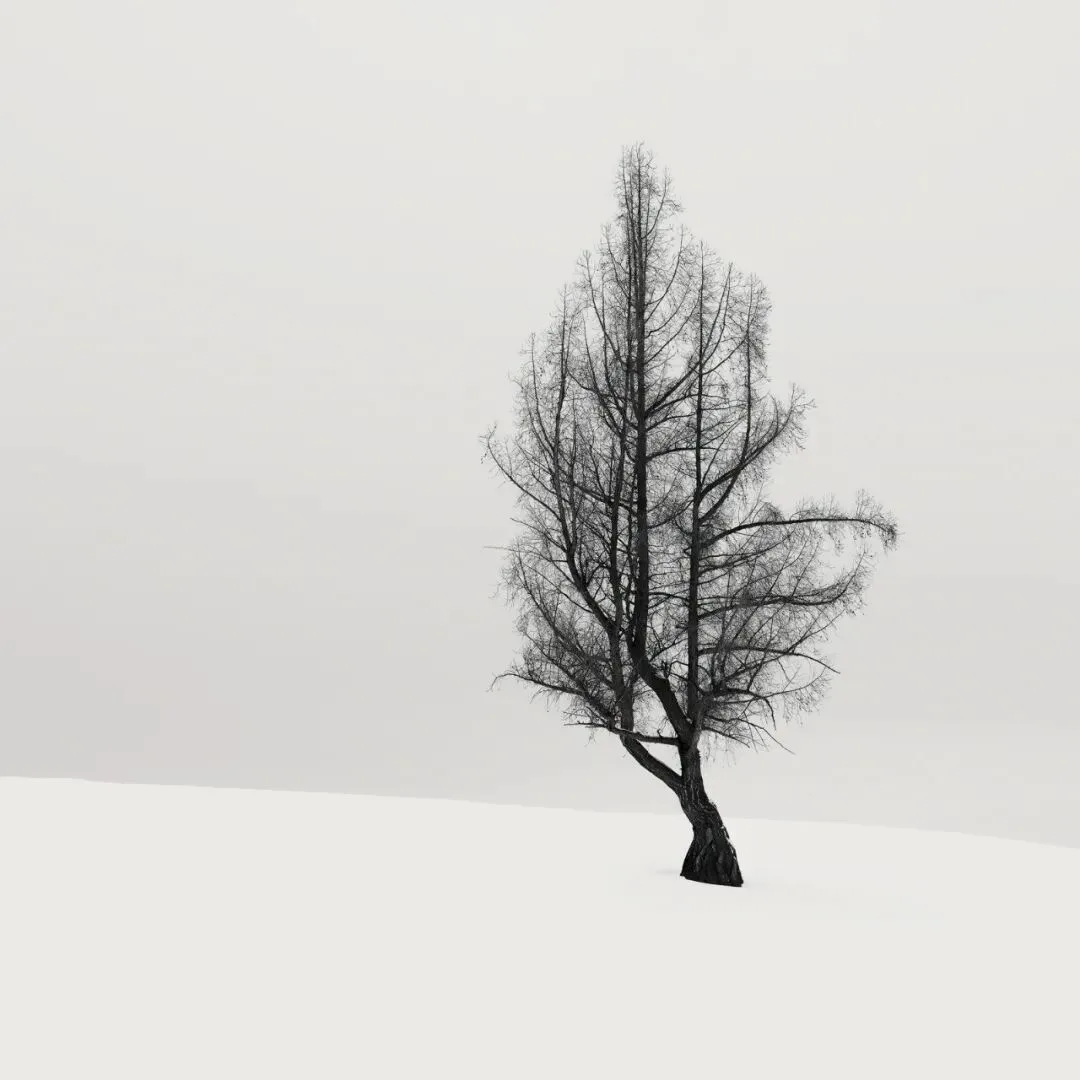 A Landscape Photographer's 2022 Portfolio · Fig. 74