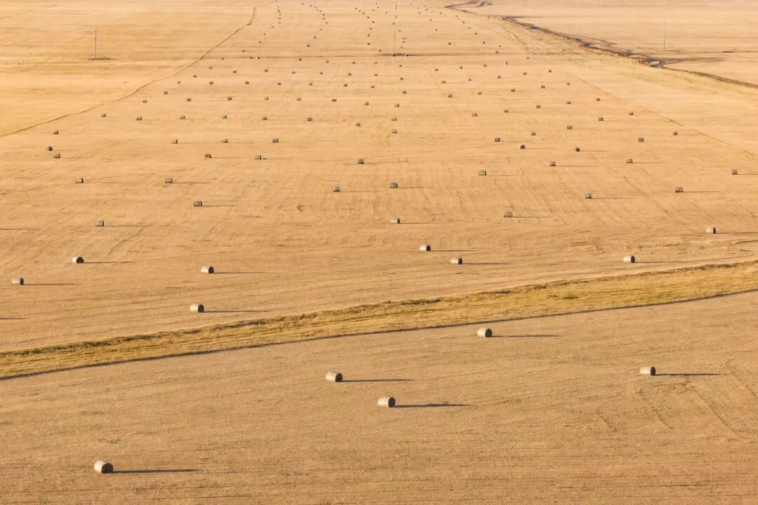A Landscape Photographer's 2022 Portfolio · Fig. 87
